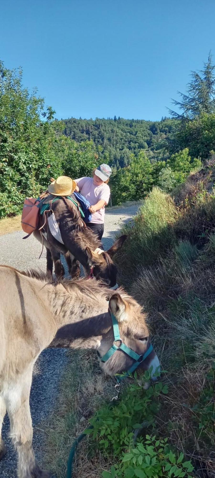 Les Soleillas Pour Votre Zen'Ittude Chalencon Esterno foto